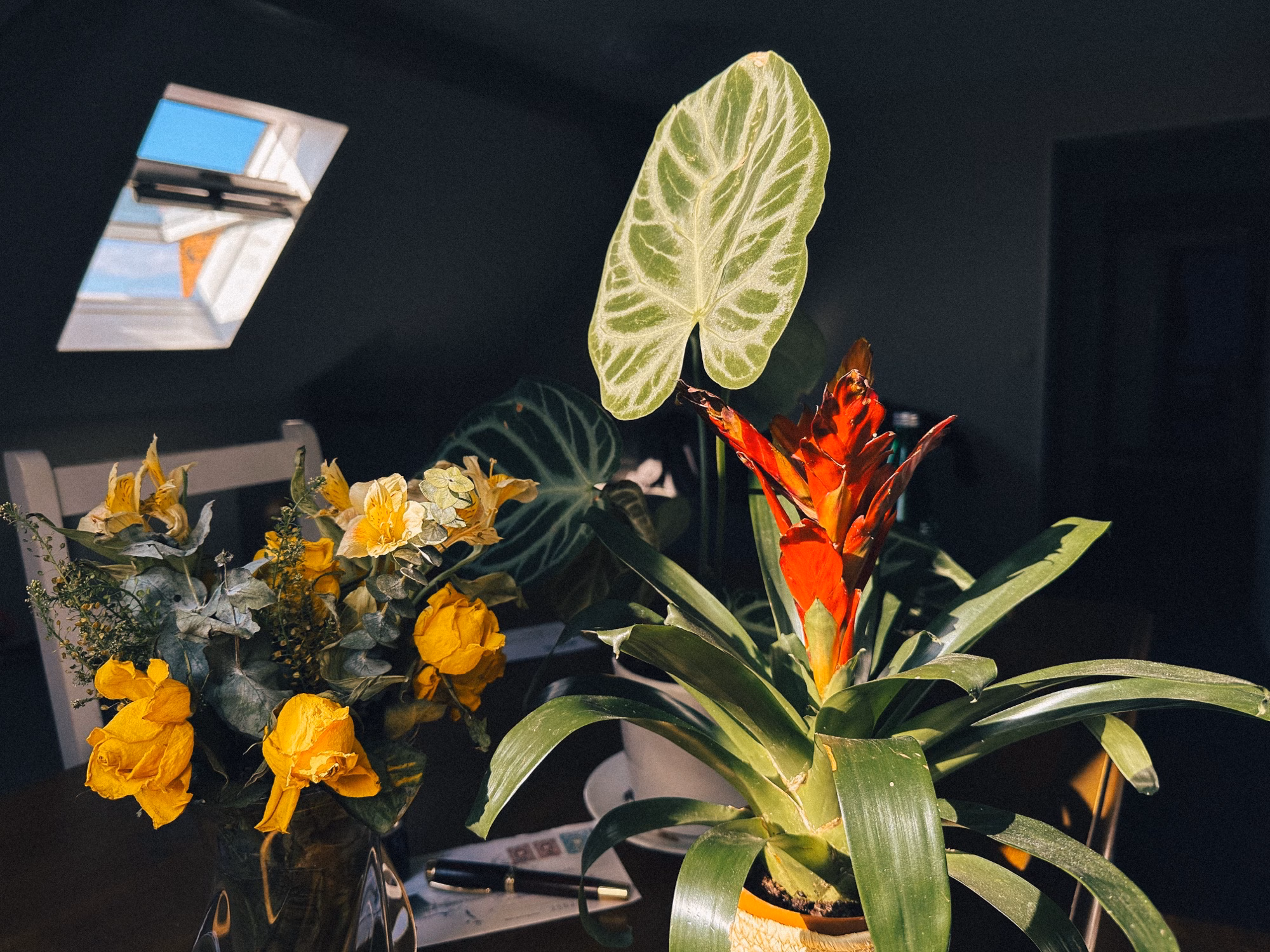 Knocking on Spring’s Door